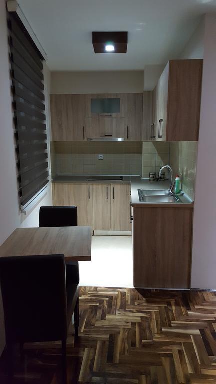 Apartman Ristanovic Banja Koviljača 外观 照片
